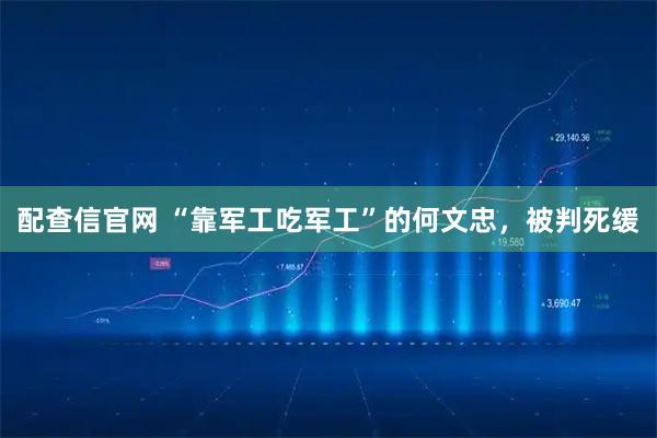 配查信官网 “靠军工吃军工”的何文忠，被判死缓