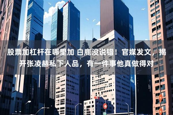 股票加杠杆在哪里加 白鹿没说错！官媒发文，揭开张凌赫私下人品，有一件事他真做得对